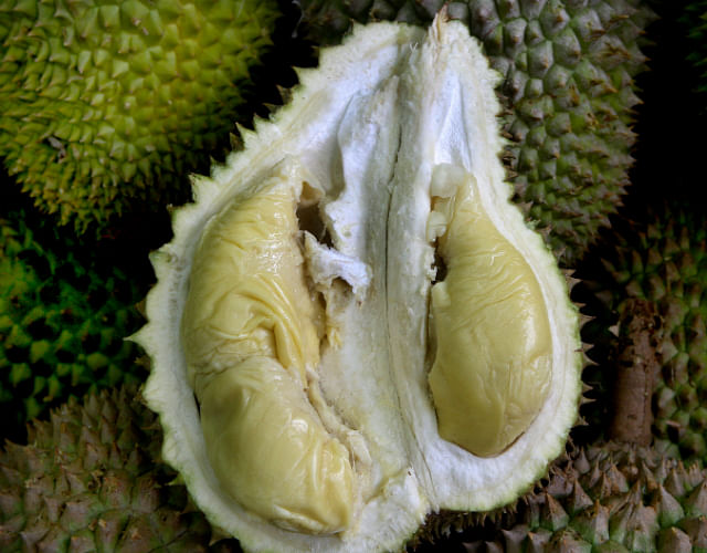 Durian 101 - XO (Photo by Chew Seng Kim)